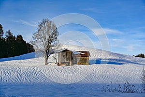 Lonley tree and barn in snow covered landscape of Bavaria, Germany
