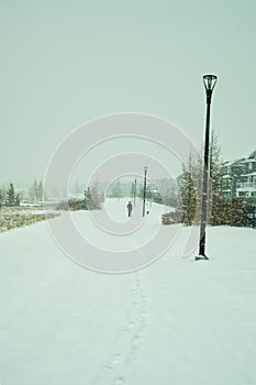 Lonley walk in the snow on a cold winters day