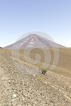 Lonquimay volcano, Chile photo