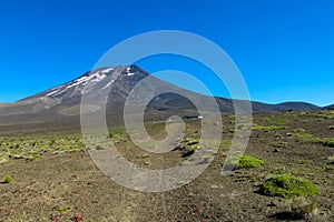 Lonquimay Volcano slope covered with ash and green grass