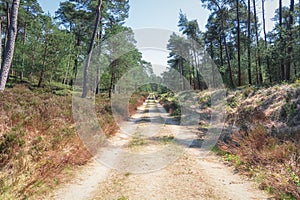 The Loo park located in Apeldoorn