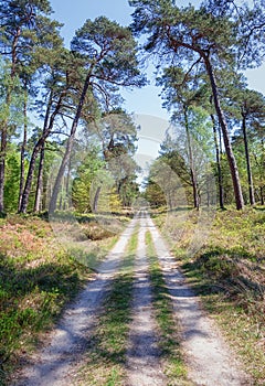 The Loo park located in Apeldoorn