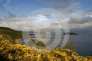 Looe Island (Cornish: Enys Lann-Managh, meaning island of the monk's enclosure)