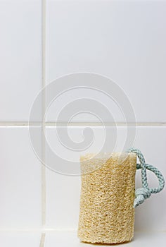 Loofa