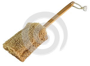 Loofah brush for shower massage