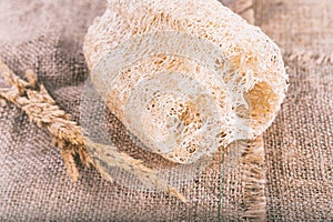 Loofah natural Body Scrub