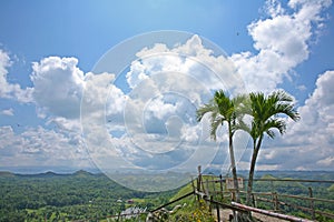 The look above the chocolate hills in Bohol