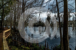 Riverhills Park on the Hillsbourgh River photo