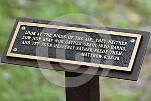 Matthew 6:25-26, Bible Verse, Holy Bible photo