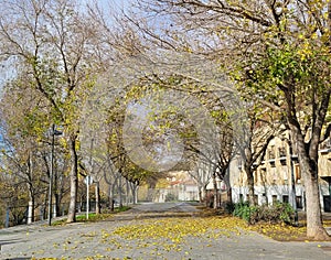 Look at the Castilian autumn, a park next to the Tormes River, where the natural attributes, trees, bushes and buildings stand out