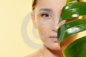 Look. Close up of beautiful female face with green leaves over white background. Cosmetics and makeup, natural and eco