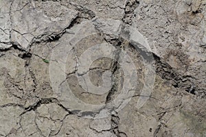 Look down on crack dried mud surface of the ground.