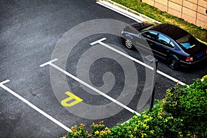 Look down empty parking spot with vegetation and shrubbery from