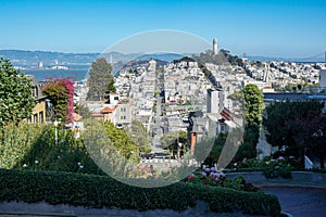 A look down Lombard street in beautiful San Francisco.