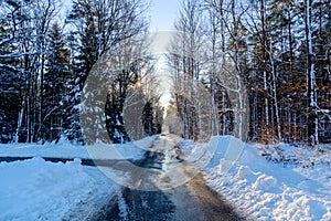 A look down a lonely road into a snowy forest