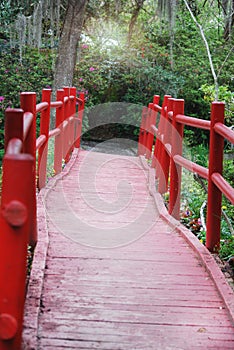 A look down the path of red, wooden bridge at Magnolia Plantation and Gardens.