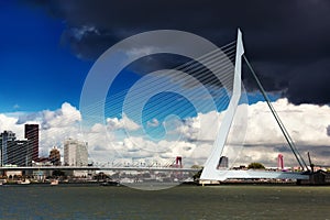 Look Erasma Bridge to Rotterdam