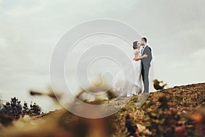 A look from the fallen leaves on a wedding couple kissing on the
