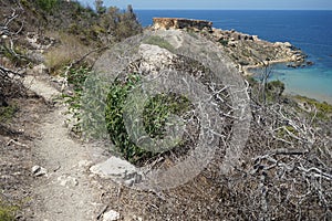 A look at Il-Qarraba promontory at Ghajn Tuffieha Bay. Il-Qarraba, Ghajn Tuffieha, Mellieha, Malta