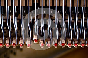 Hammers and strings of an spinet piano photo