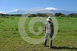 Look at the Kilimanjaro