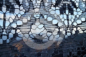 A look through the lacy curtain. photo