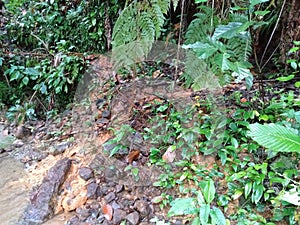 Cemical reaction at the nature