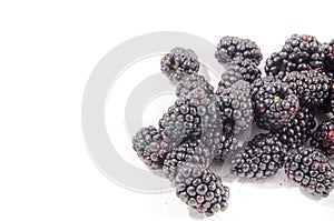 Look look at that you found some fresh sweet blackberry`s