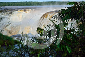 Look a the magnificent Iguazu waterfalls