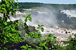 Look a the magnificent Iguazu waterfalls