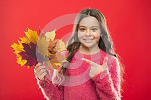 Look at this. school time. childhood happiness. autumn kid fashion. Weather change. girl child in sweater. Autumn mood