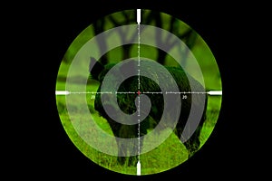 Look trough a riflescope