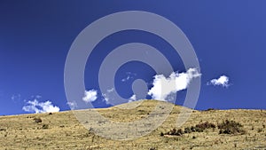 Look up sky and clouds