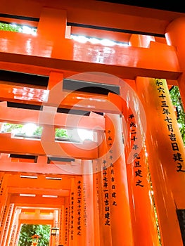 Look up view red wooden poles of Torii gates at Fushimi Inari Shrine in Kyoto.