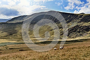 Looking across Bannerdale to ridge and crags