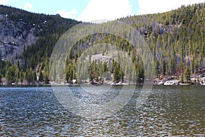 Looking across Bear Lake to the pine covered mountain slope on the other side, on Bear Lake Trail in Rocky Mountain National Park