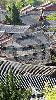 Looking Across Chinese Roofs