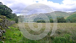 Looking across field to mountains