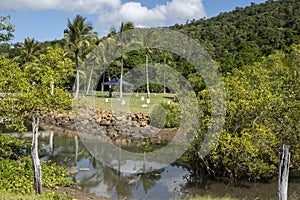 Easter Egg Hunt Set Up For Children At Tropical Resort