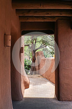 Looking through an adobe walkway to a wall and pine tree outside in Santa Fe New Mexico