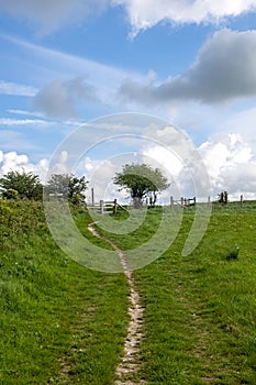 Looking along a grass pathway in the South Downs on a spring day photo