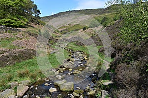 Looking along Grinds Brook near Edale