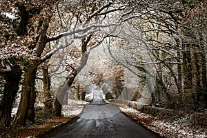 Looking along a road in the Sussex countryside on a winter`s day, with snow on the tree branches