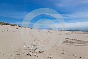 Looking along a vast sandy beach along the Oregon coast, with a blue sky overhead