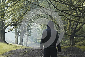 Looking at the back of a hooded figure, standing below an avenue of trees on a hill. On a foggy, atmospheric day