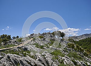 Looking back up the stone footpath at the statue to Forestry Workers and Rangers in the Sierra del Nieves.