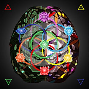 Looking for balance. Analytical brain vs creativity brain, concept vector illustration with chakra signs and seed of