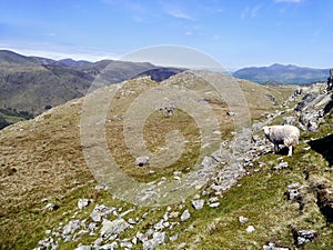 Looking Borrowdale way from base of Bessyboot