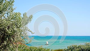 Looking through bushes - Euphorbia stenoclada - moving in slow wind - to calm sea with boat during sunny day, tropical beach at