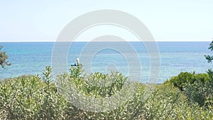 Looking through bushes - Euphorbia stenoclada - moving in slow wind - to calm sea with boat during sunny day, tropical beach at